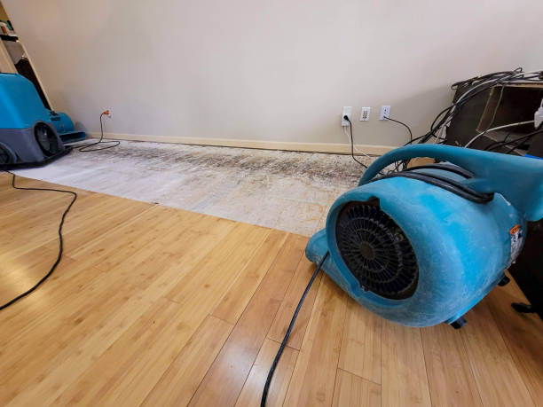 Professional Burst Pipe Water Damage technician working in North Chicago, IL